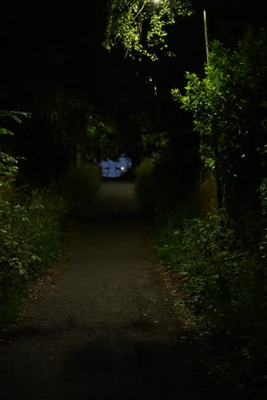 2026/05/29