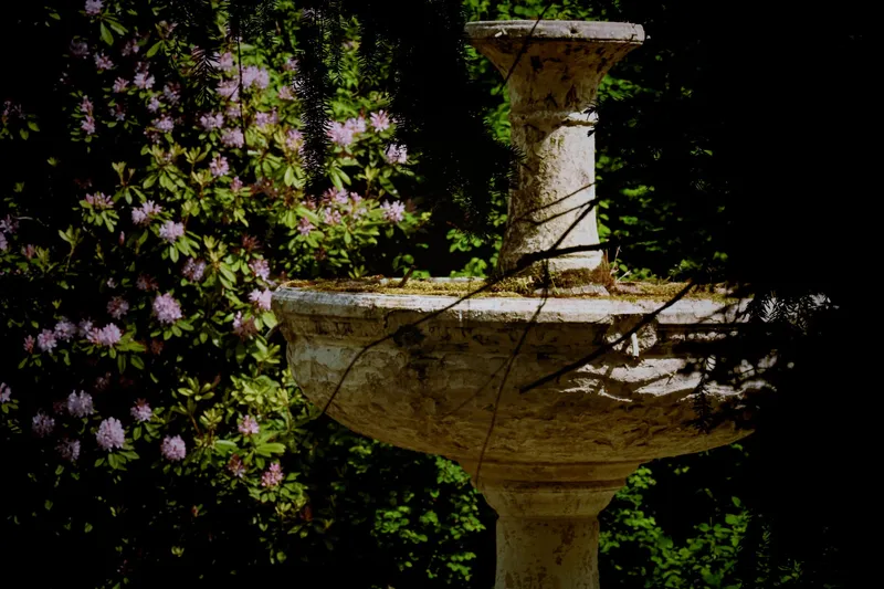2026/05/22, photo 8
