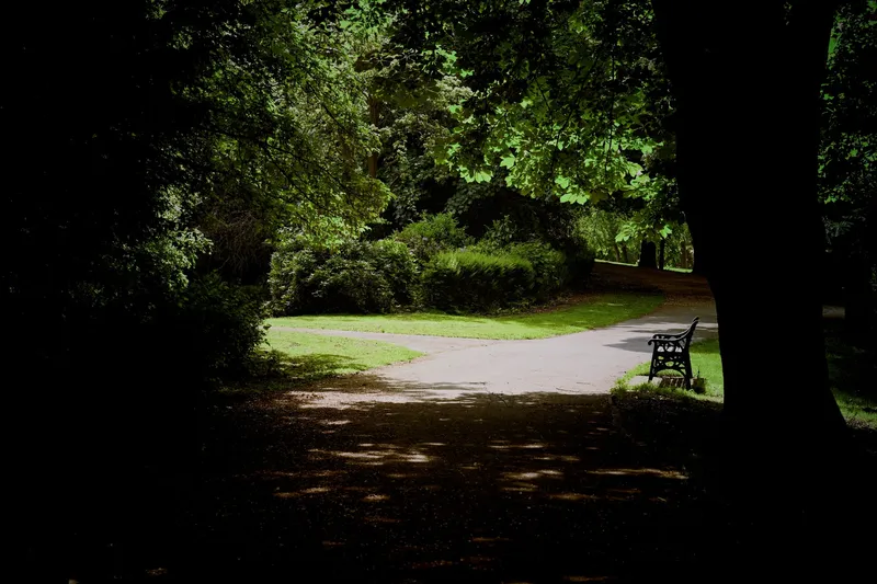 2026/05/22, photo 9