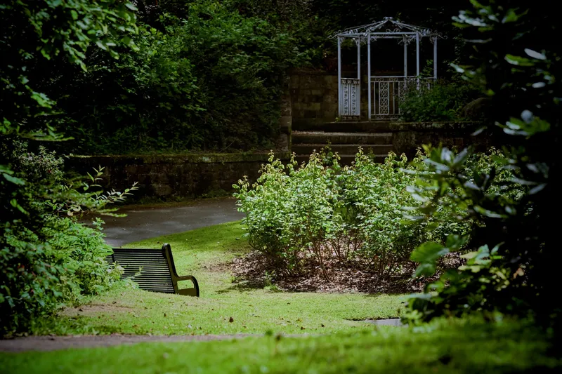 2026/05/22, photo 11