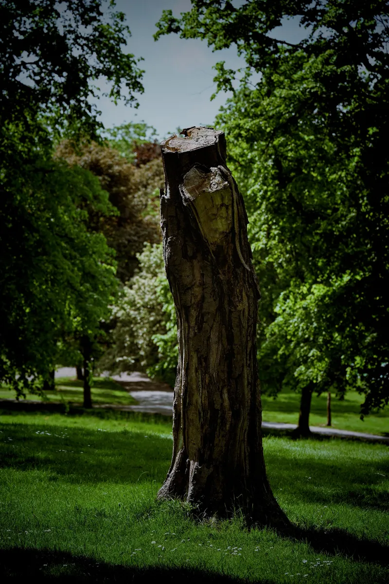 2026/05/22, photo 12