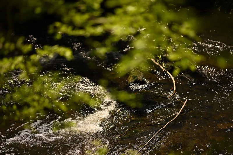 2026/05/24, photo 4