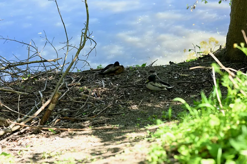 2026/05/24, photo 22
