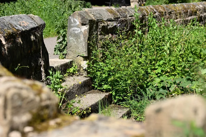 2026/05/24, photo 35