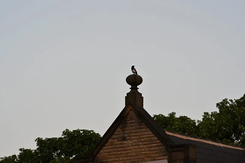 2026/05/29, photo 2