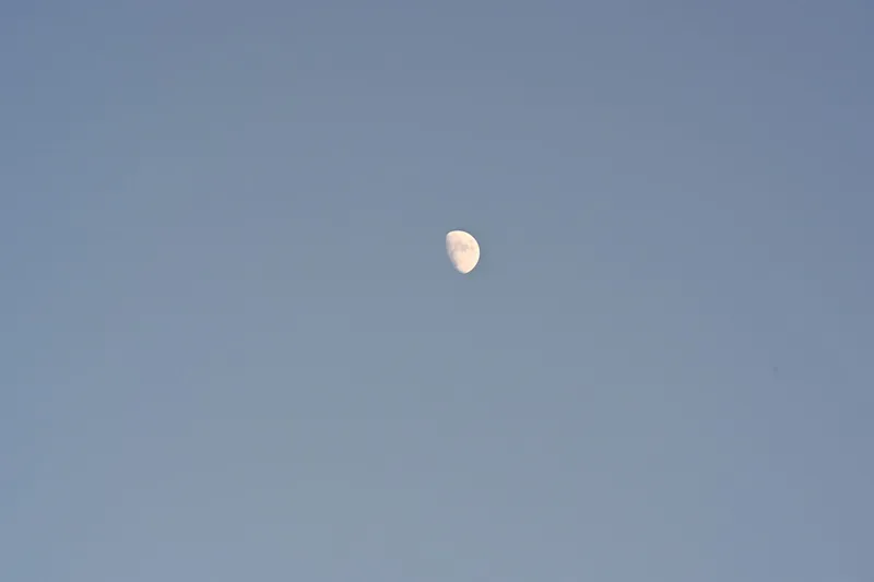 2026/05/29, photo 3