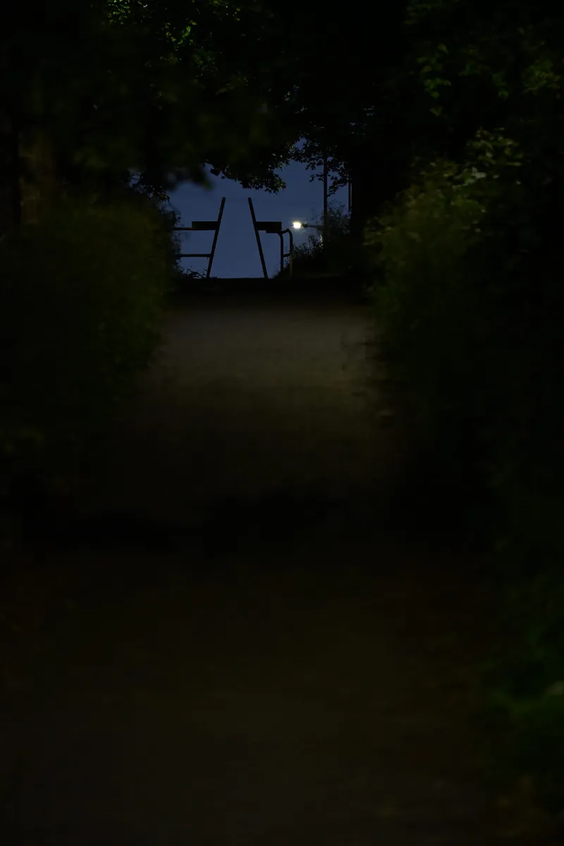 2026/05/29, photo 20