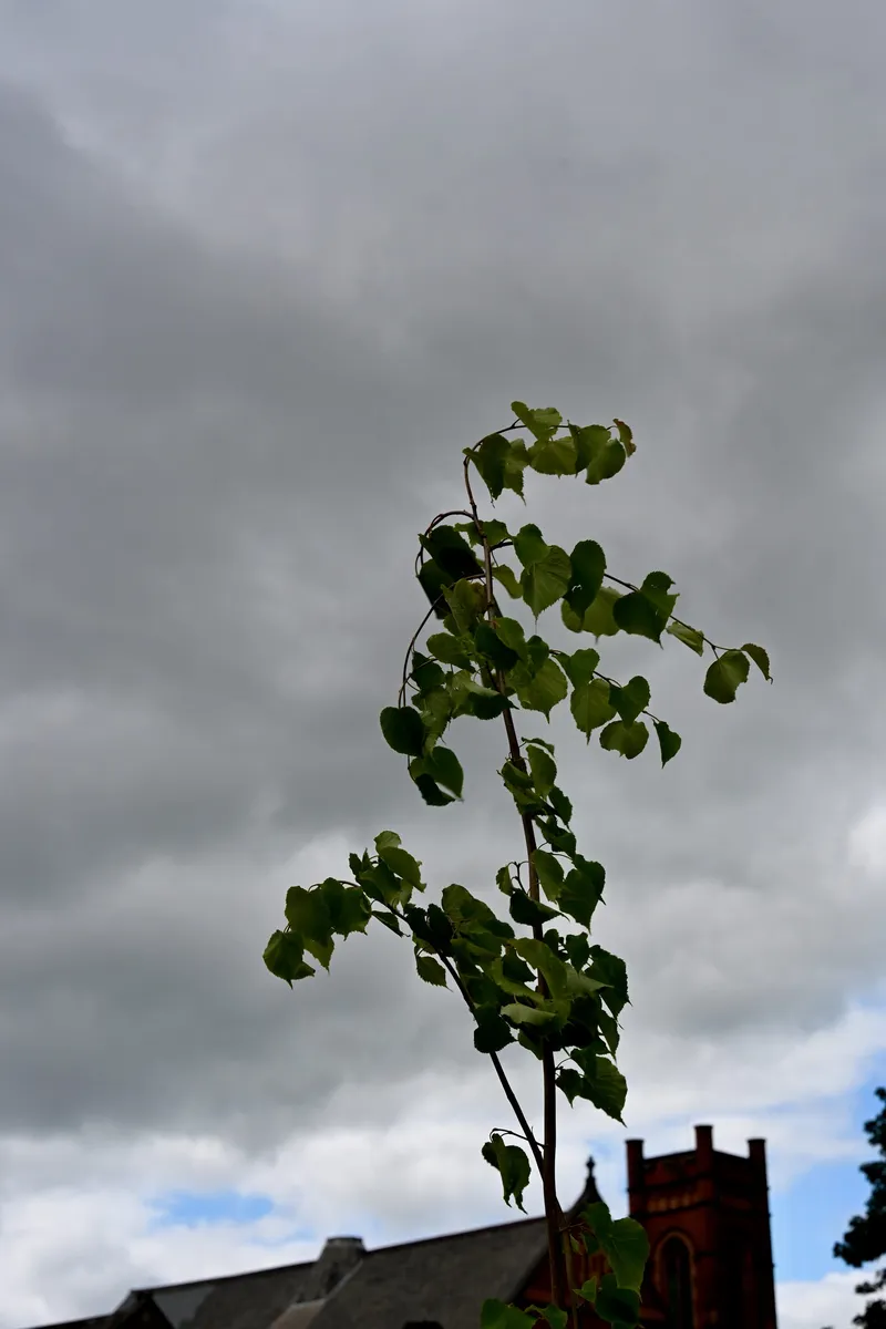 2026/06/13, photo 88