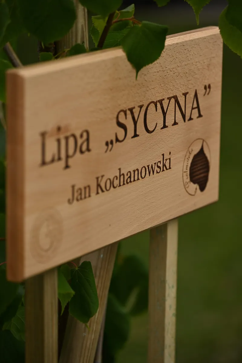 2026/06/13, photo 160
