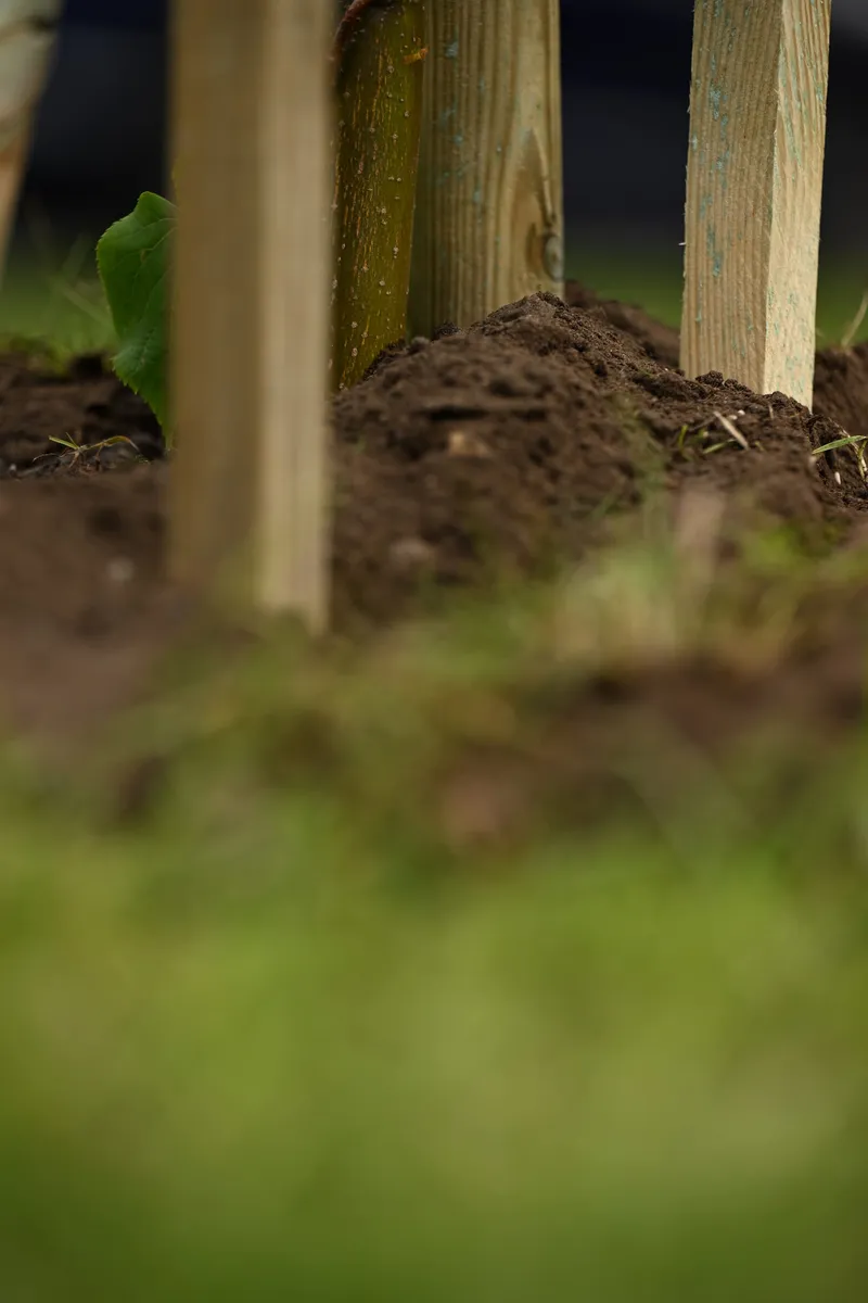 2026/06/13, photo 163
