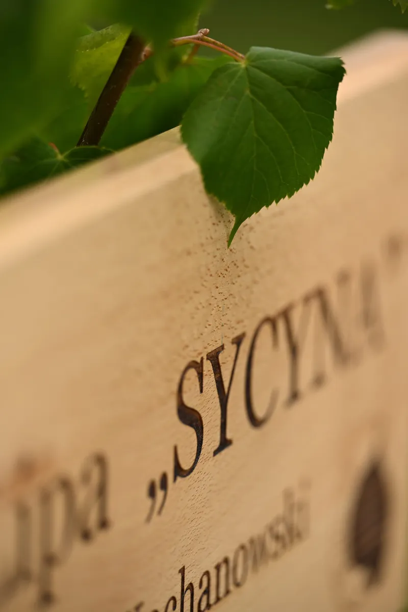 2026/06/13, photo 167