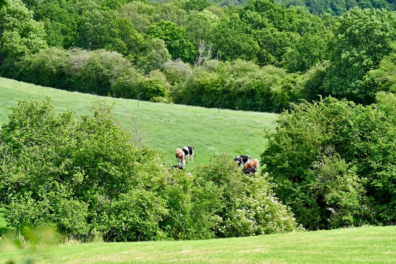 2026/06/20, photo 43