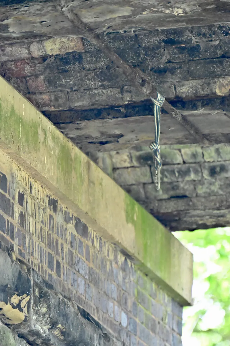 2026/06/20, photo 65