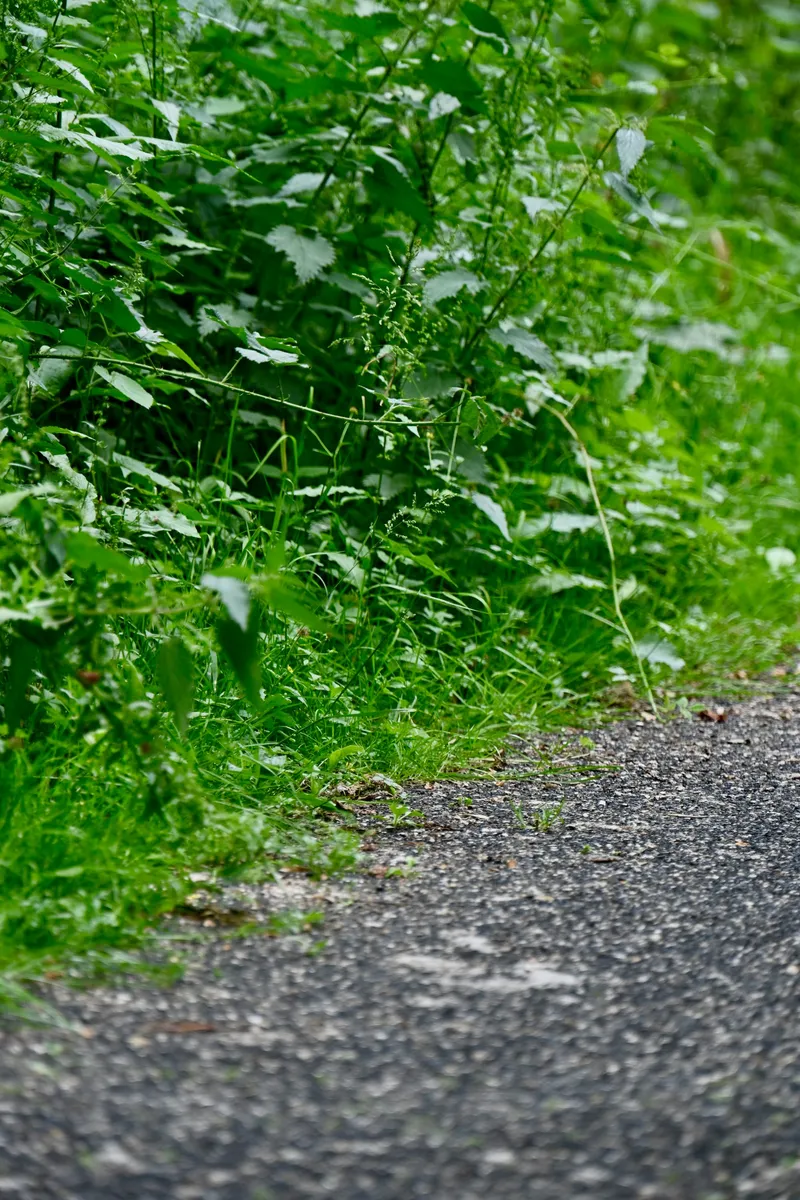 2026/06/20, photo 125
