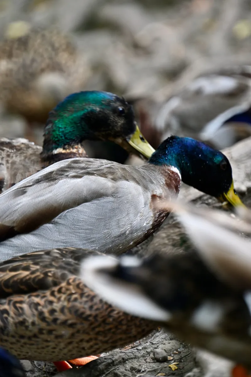 2026/06/20, photo 164