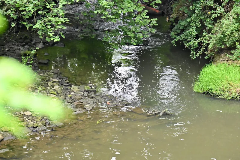 2026/06/20, photo 198