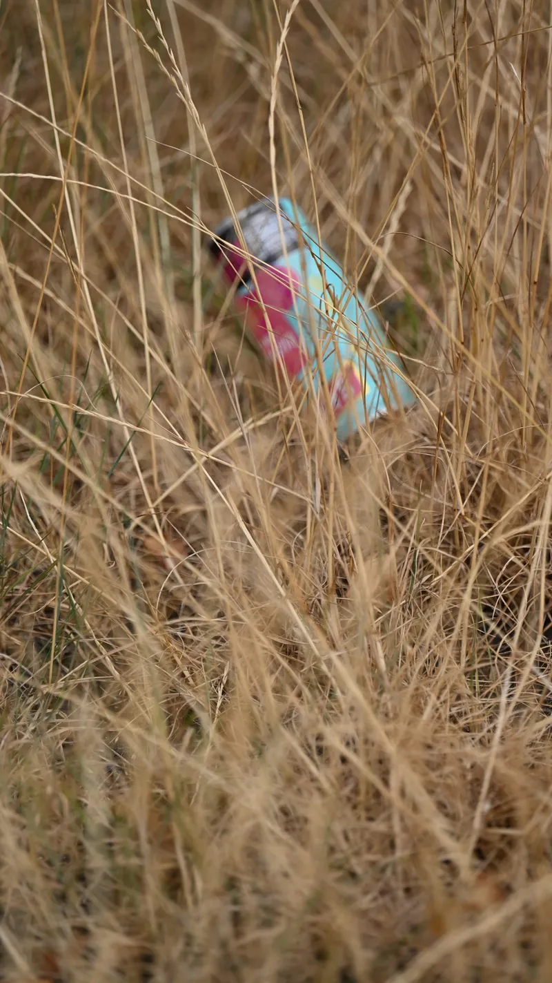 2026/07/25, photo 2