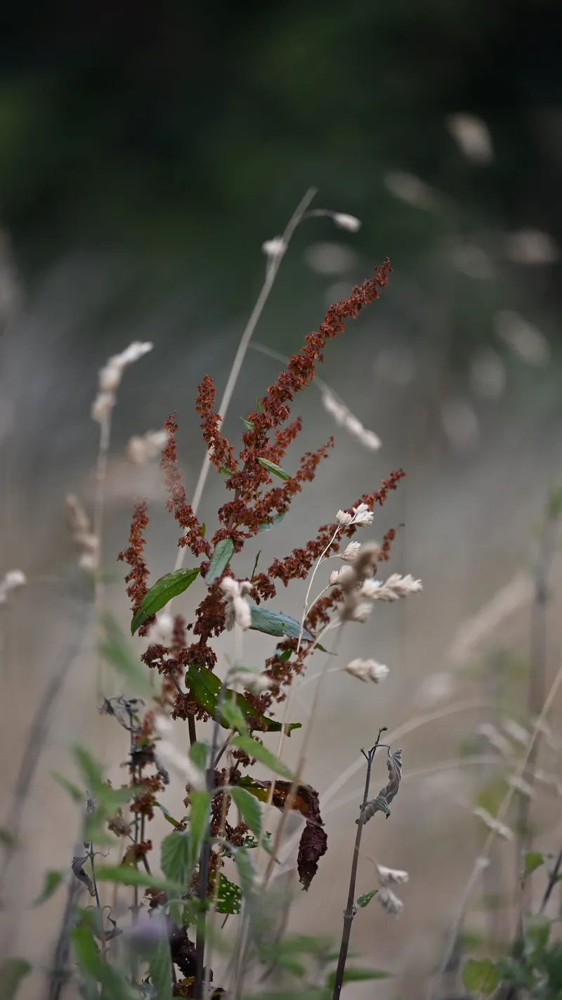 2026/07/25, photo 29