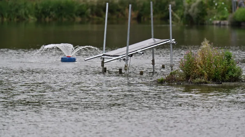 2026/08/15, photo 30
